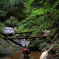 Cool tributary along John Muir Trail. 