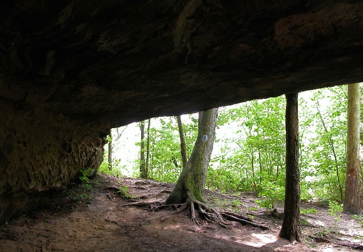 A nook of shady relief below Angel Falls Overlook. 