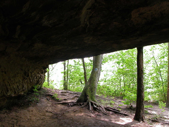 A nook of shady relief below Angel Falls Overlook. 