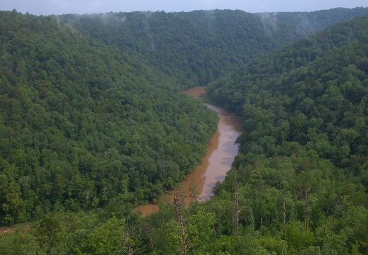 Angel Falls Overlook (south point, not the true overlook of rapids). 