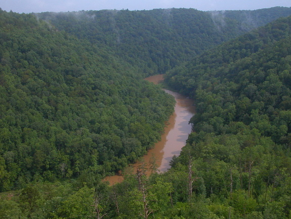 Angel Falls Overlook (south point, not the true overlook of rapids). 