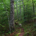 Grand Gap Loop trail. Allows mountain bikes during weekdays. 