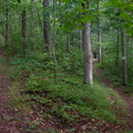 Switchback on Grand Gap Loop. 