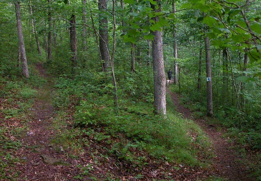 Switchback on Grand Gap Loop. 