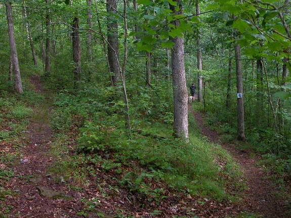 Switchback on Grand Gap Loop. 