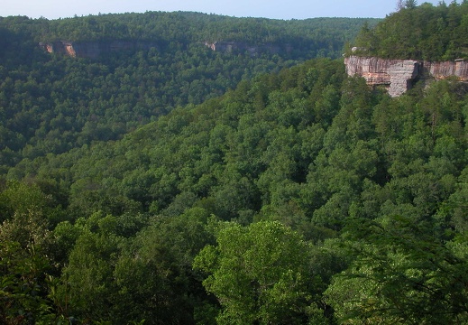 River overlook.