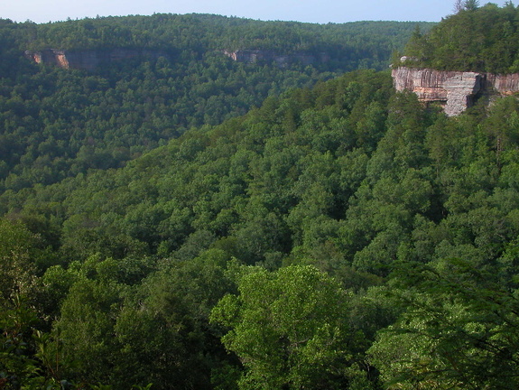 River overlook.