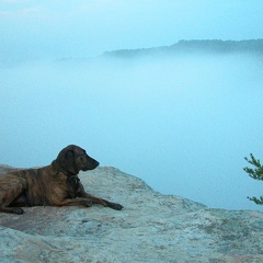 Full valley fog. 