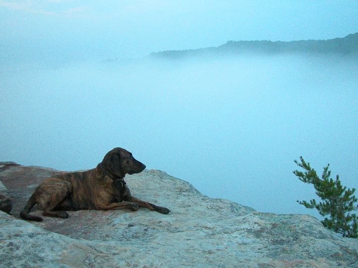 Full valley fog. 