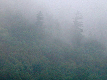Fog across valley. 