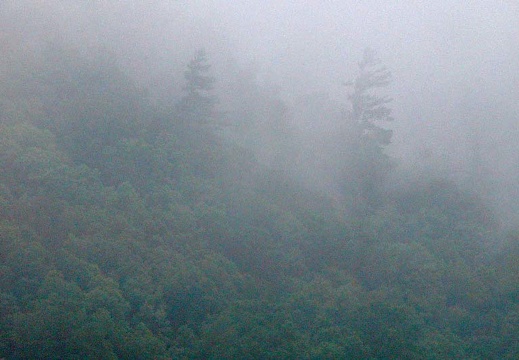Fog across valley. 
