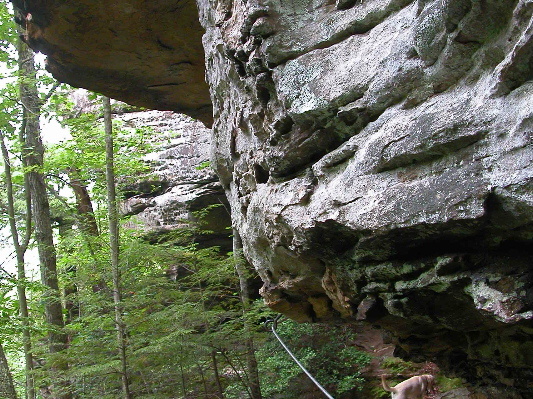 Cable on trail around rock outcrop. 