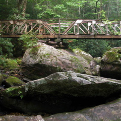 Fall Branch footbridge. 