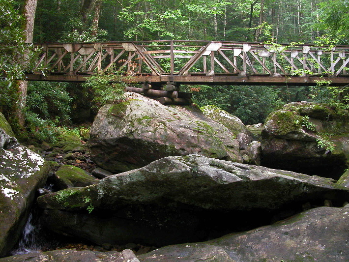 Fall Branch footbridge. 