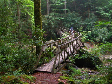 Fall Branch footbridge. 