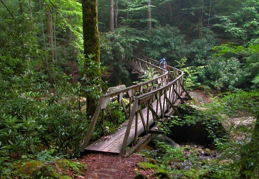 Fall Branch footbridge. 