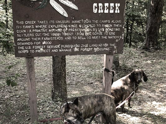 Carved and painted sign: Parched Corn Creek, with Jake and Pixel