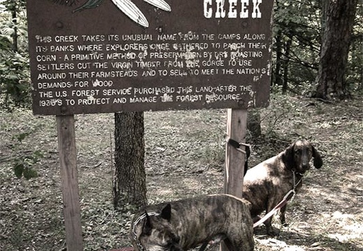 Carved and painted sign: Parched Corn Creek, with Jake and Pixel