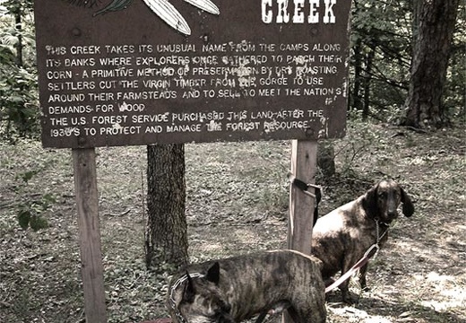 Carved and painted sign: Parched Corn Creek, with Jake and Pixel