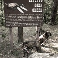 Carved and painted sign: Parched Corn Creek, with Jake and Pixel