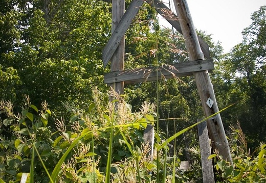 Sheltowee Trace suspension bridge across Triplett Creek