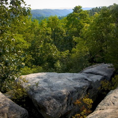 View south from Amburgy Rocks
