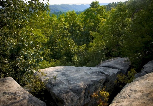 View south from Amburgy Rocks