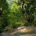 View north from Amburgy Rocks