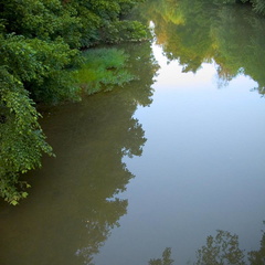 Triplett Creek