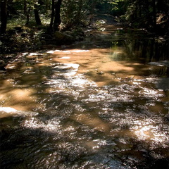 Creek with bright sun and dark shadows