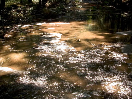 Creek with bright sun and dark shadows