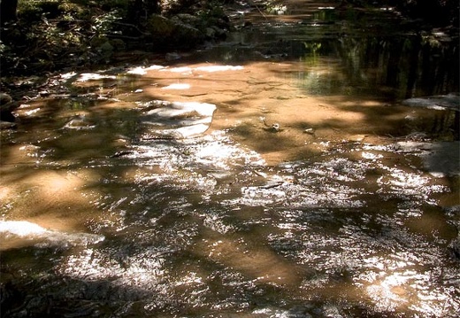 Creek with bright sun and dark shadows