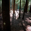 Camp