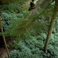 Le Petite Niagra