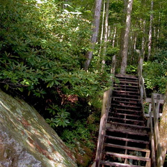 Leatherwood Ford river overlooks