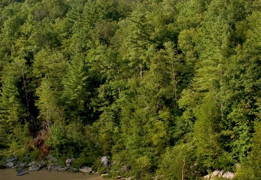 O&amp;W Bridge downstream