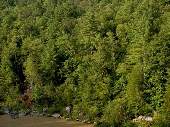 O&amp;W Bridge downstream