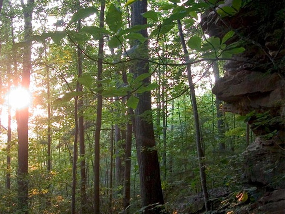 Leatherwood Loop trail