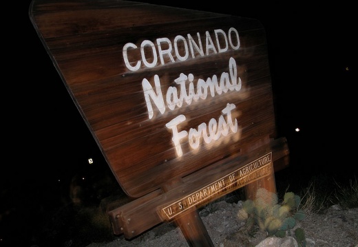 Aug 7: Mt. Lemmon, Coronado National Forest