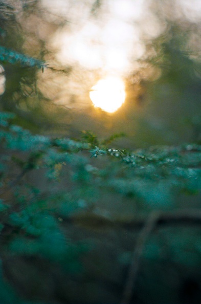 Last Light in Valley