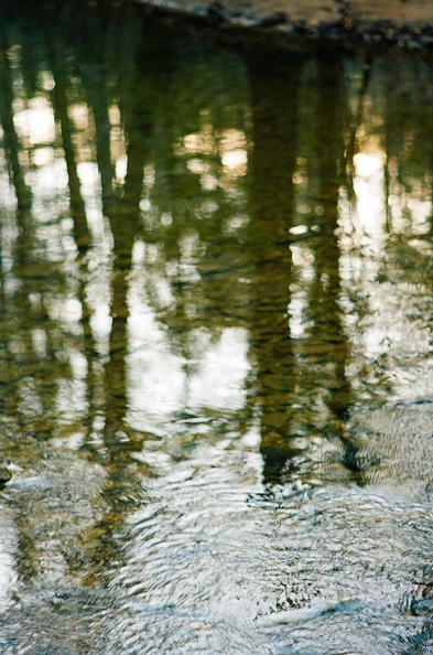 Chimney Top Creek