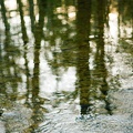 Chimney Top Creek