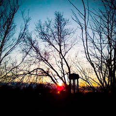 Town Branch at Sunset