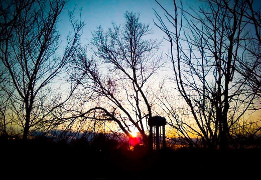 Town Branch at Sunset