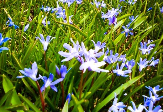 Mar 26: Spring in Downtown Lexington