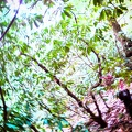 BsPhone0568