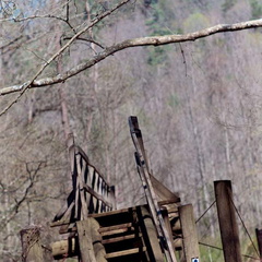 Crossing Laurel Fork Creek