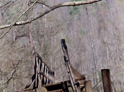 Crossing Laurel Fork Creek