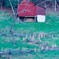 08 - Litton Farm