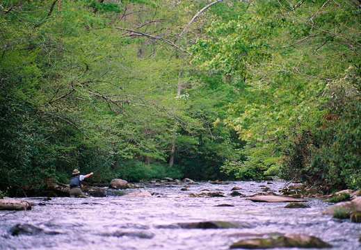 Fishing Deep Creek